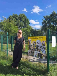 DKW: Tu rządzą psy - akcja społeczna