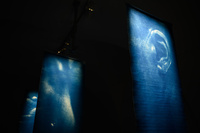 Wystawa: Transmutacja