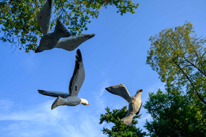 Szanty na Starówce - 25.08.2023 - Scenografia na koncercie "Szanty na Starówce".