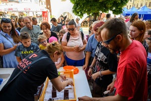 Festiwal Nauki i Techniki - Dzień II - tort urodzinowy dla publiczności zebranej na Rynku