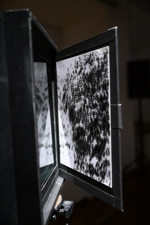 Wystawa: Tańcząc ze światłem - Aparat otworkowy autorstwa Michaliny Hendrys.