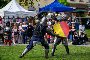 VI Dzień Hetmański - Piknik historyczny