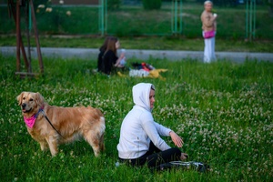 38. TNF - Dzień 1 (31.05.2024) - Widzowie kina plenerowego 38. TNF