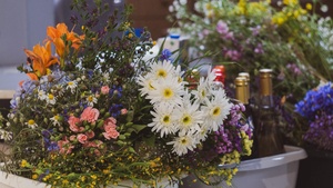 Wernisaż wystawy - Letnie Przesilenie - Pracownia Plastyczna TCK, otwarcie ekspozycji przy udziale autorów i publiczności.