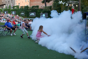 Szanty na Starówce - 23.08.2024 - Publiczność podczas koncertu The Cotton