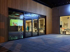 Zmysły i komunikacja koni – prelekcja behawiorystki Eweliny Haraf - Dziedziniec Domu Kultury Westerplatte.