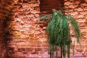 Koncert: Pracownia Piosenki "Na przekór" - Scenografia koncertu w tle sceny.