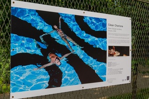 39. TNF: Dzień 8 (6.06.2025) - Plenerowa wystawa fotografii w ramach 39. TNF "Piotr Jaxa. Cinematographers" na ogrodzeniu Parku Strzeleckiego