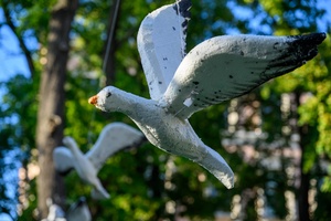 Szanty na Starówce: Kliper Marzenie, North Cape - Elementy szantowej scenografii nad sceną