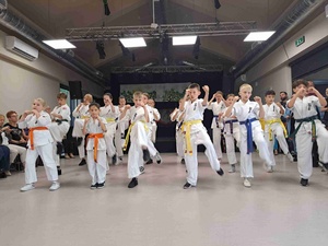 Piknik 13. Dzielnicy! - Pokaz karate w wykonaniu TKS Karate Tarnów