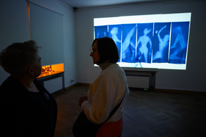 Wystawa: Transmutacja