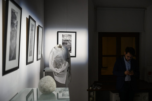 Wystawa: Transmutacja