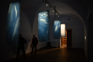 Wystawa: Transmutacja