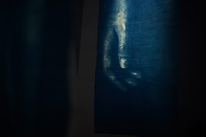 Wystawa: Transmutacja