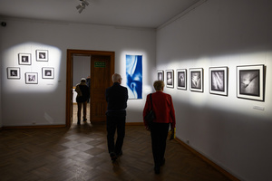 Wystawa: Transmutacja