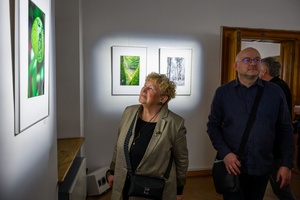 Wystawa: w cyklu Wernisaże Dzień po Dniu - Publiczność oglądająca wystawę.