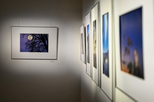 Wystawa: w cyklu Wernisaże Dzień po Dniu - Fotografie prezentowane na wystawie.