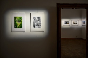 Wystawa: w cyklu Wernisaże Dzień po Dniu - Fotografie prezentowane na wystawie.