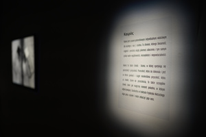 Wystawa: Rozważania nad istotą czasu - Opis fotografii na wystawie.