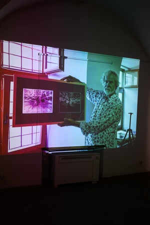 Wystawa: Alchemia obrazu - Część wystawy - fotorelacja w warsztatów z rzutnika na ścianie.