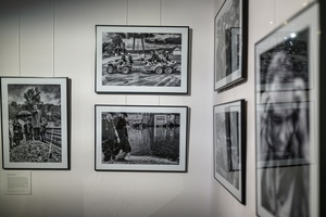Wystawa: Zrozumie życie - Fotografie prezentowane na wystawie.