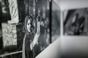 Wystawa: Zrozumie życie - Fotografie prezentowane na wystawie.