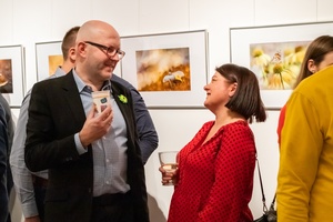 Wernisaże dzień po dniu: Marta Sysło-Miś „Bliżej baśni”